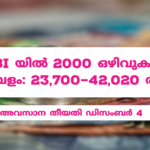 Adobe_Post_20201129_2305530.17204722085202595.png